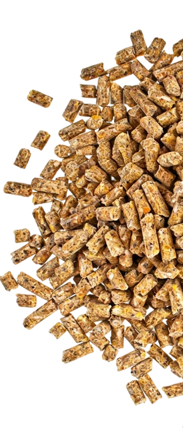Granul&eacute;s d'alimentation animale