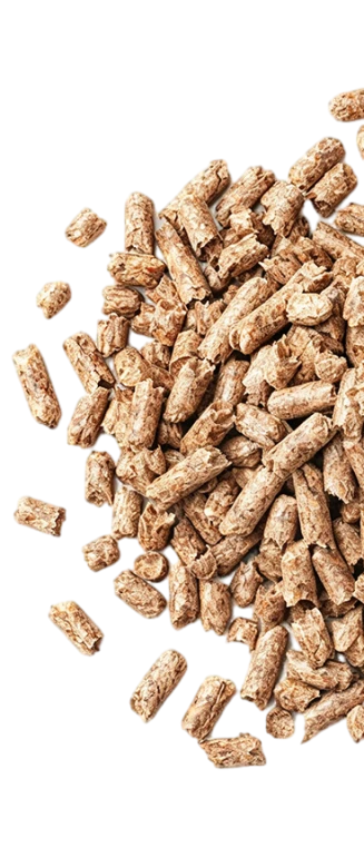 Granul&eacute;s d'alimentation animale