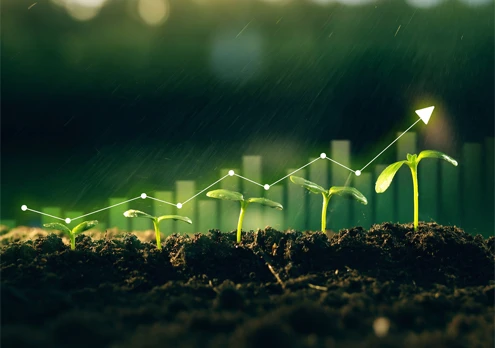 Expansion mondiale des activit&eacute;s li&eacute;es &agrave; la biomasse